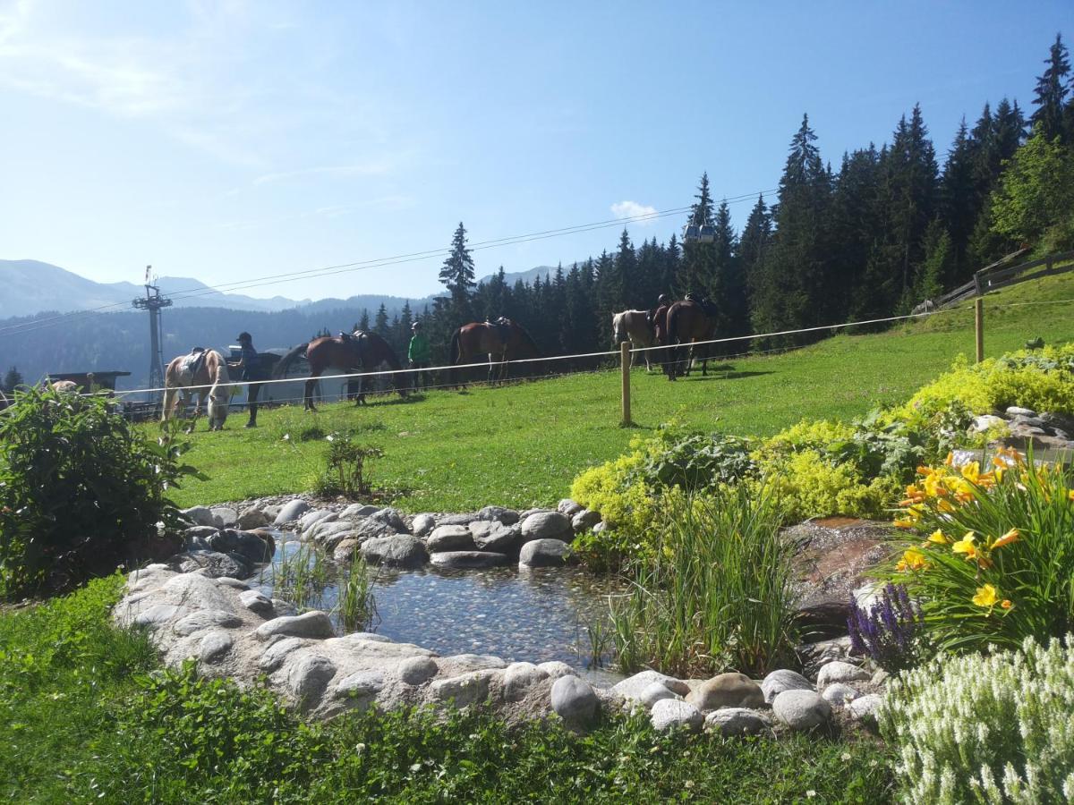 Berghaus Koglmoos Hotel Auffach Exterior photo